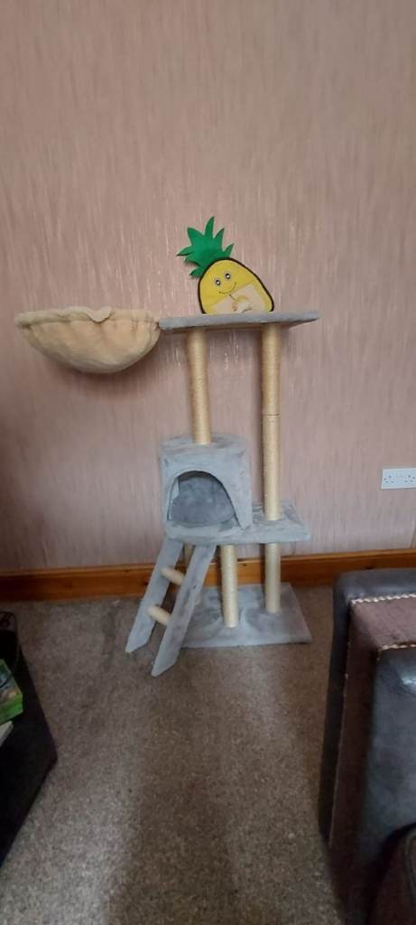 Cat tree