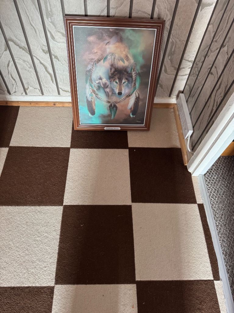 Framed Wolf Picture – Good Condition