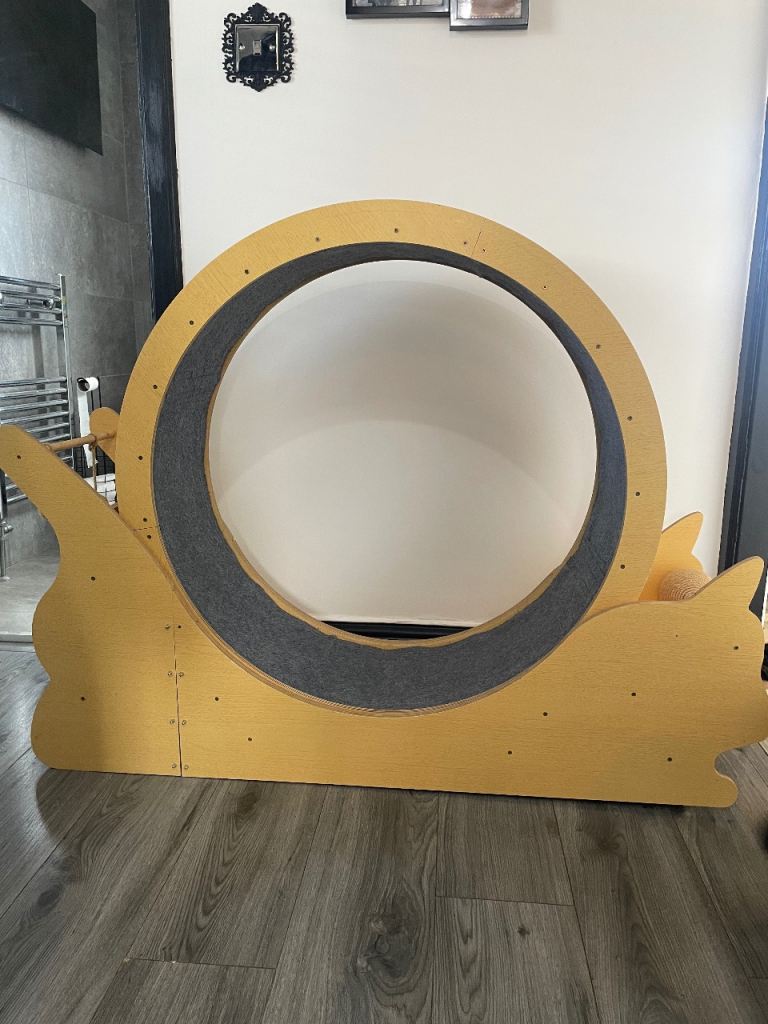 Large Cat Wheel