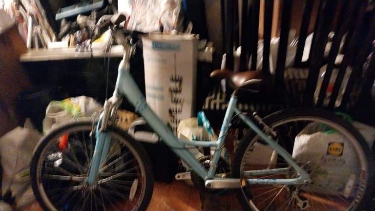 Raleigh Bike