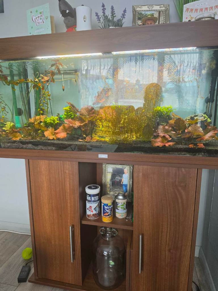 Fish tank