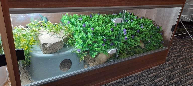 Vivarium 