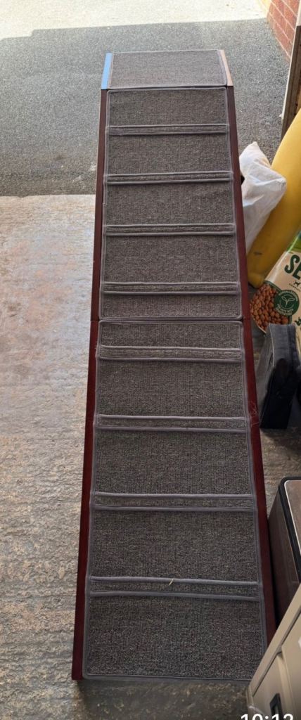 Pet ramp