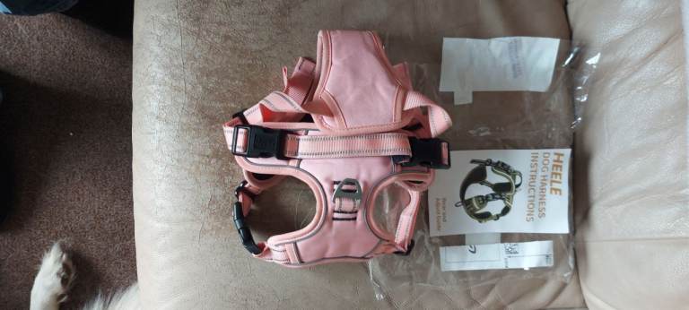 Various dog harnesses 