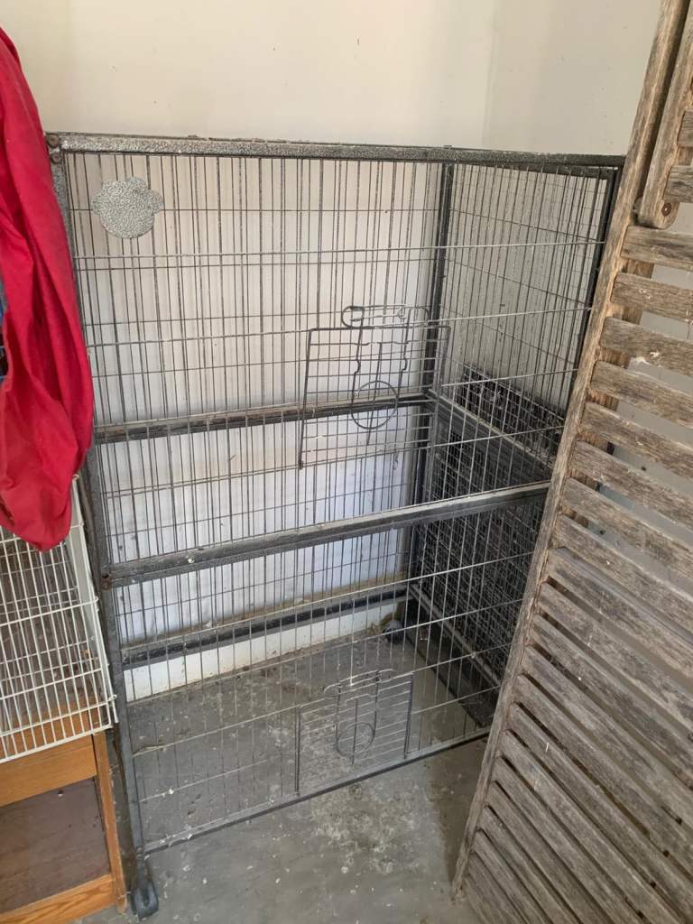 Parrot  bird cage 