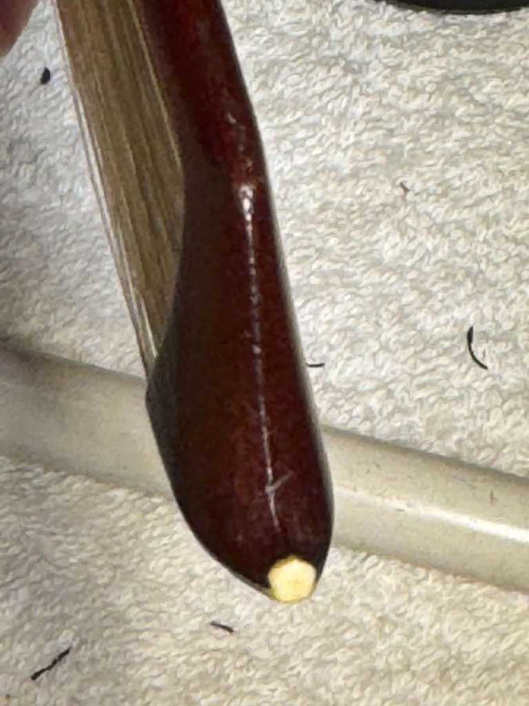 Violin bass 