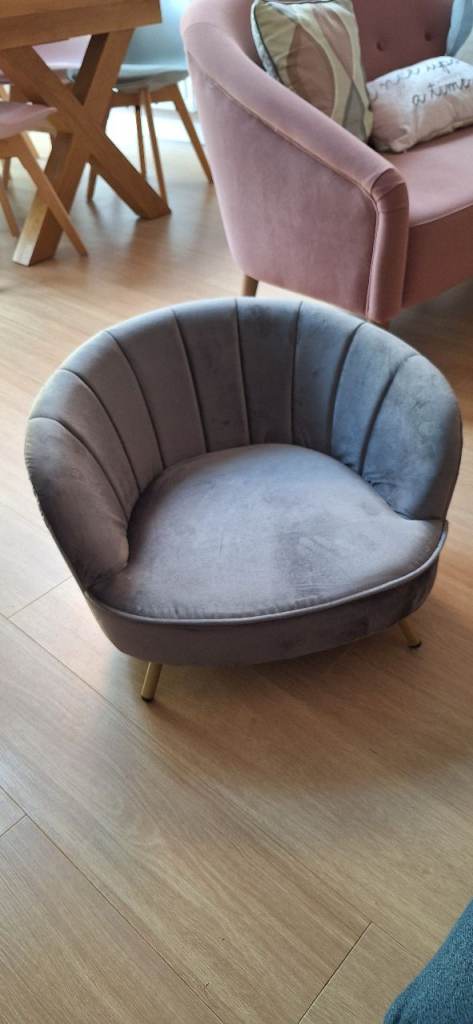 Cat/small dog bed