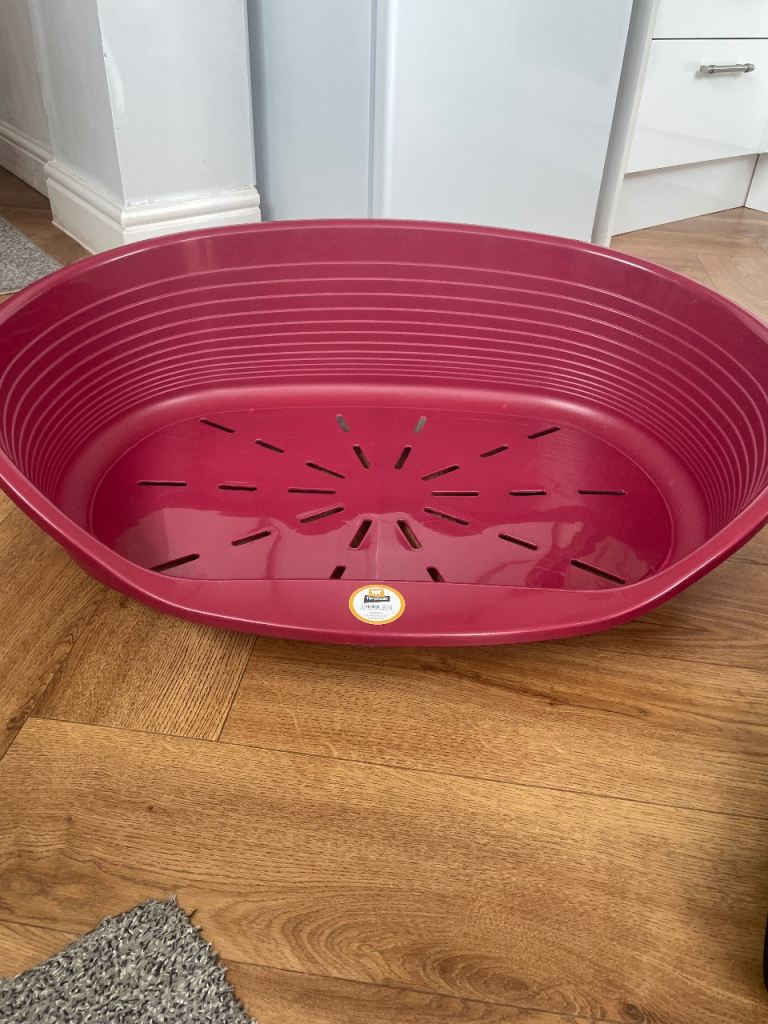 New dog bed