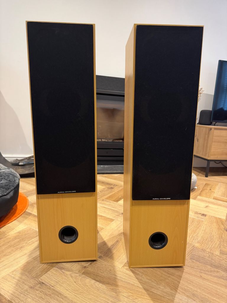 Aural Envelope EX300 speakers