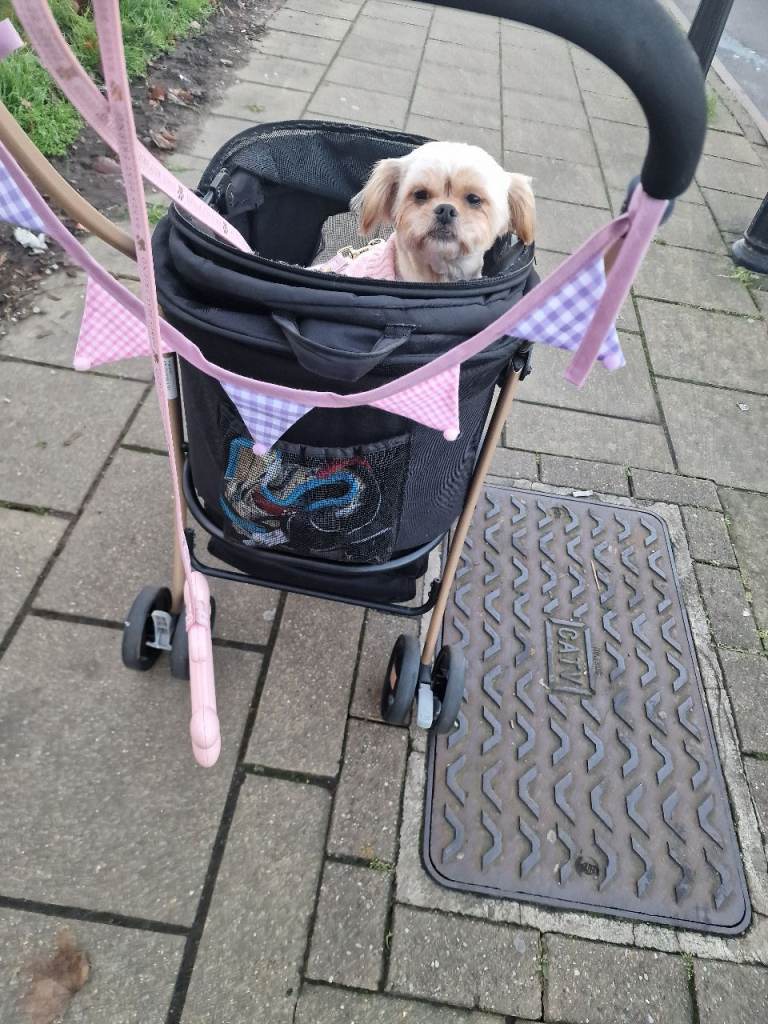 Cleo if the add is up shes still available 