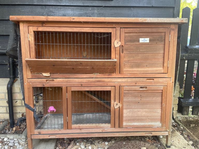 Guinea pig hutch