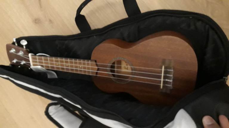 Ukulele 
