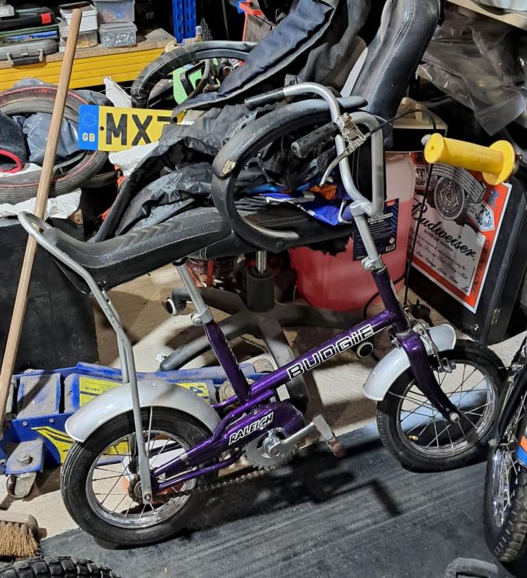 Raleigh budgie for sale 