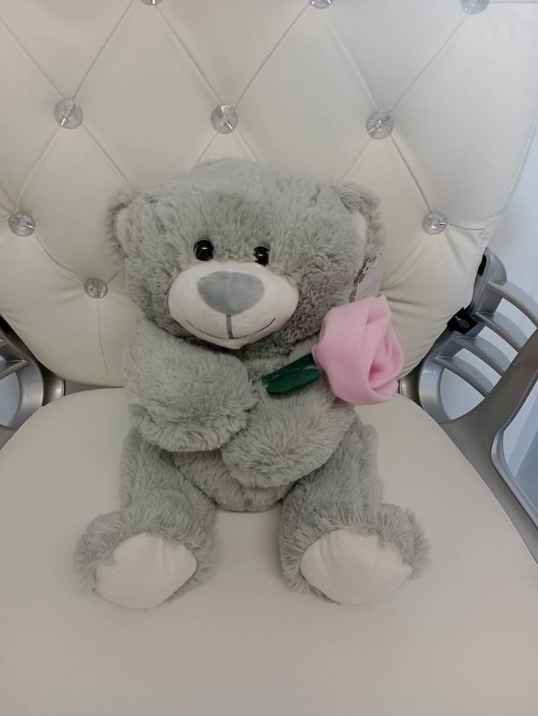 SOMEONE SPECIAL BEAR WITH ROSE (NEW)