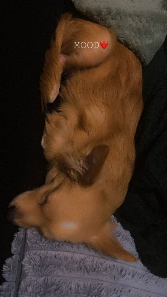 Peanut 