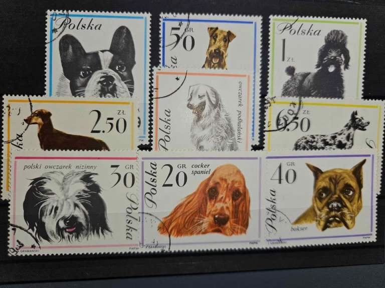 Dogs Poland postal stamps