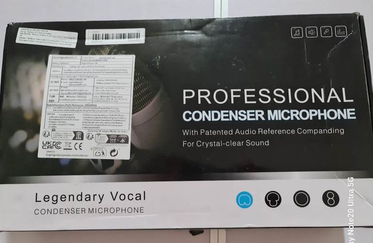 Professional condenser microphone.