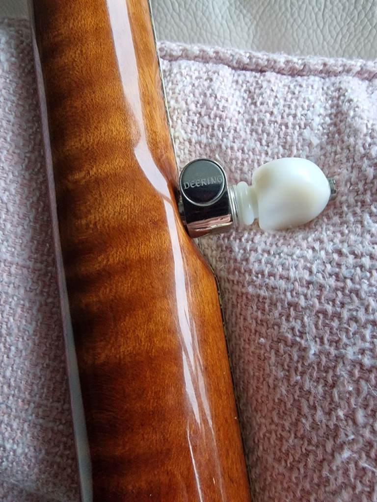 Deering Calico in stunning Condition