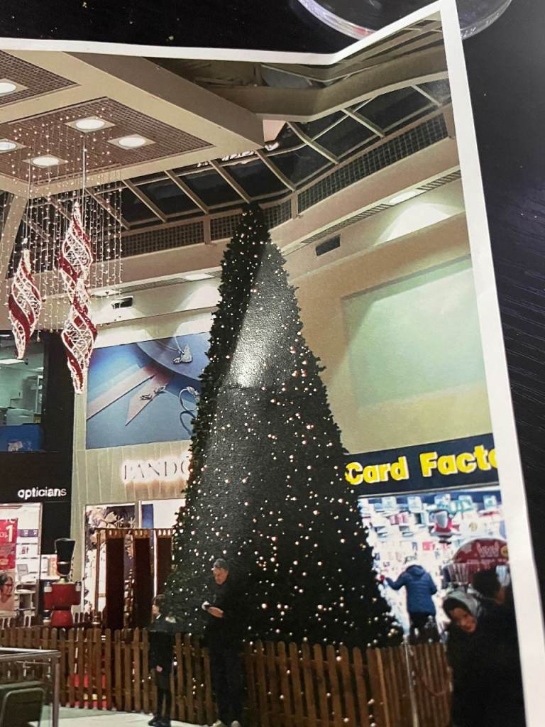 30 ft Christmas tree lights and decorations