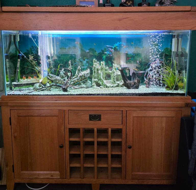 Fish tank 