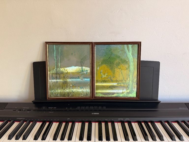 Vintage 1970s Waterfowl Foil Art Duo (Dufex prints)