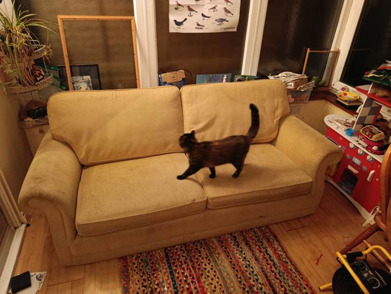 Sofa