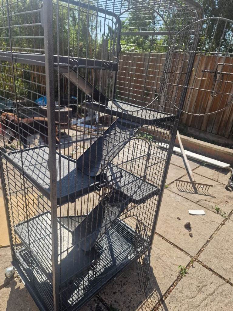 Rodent cage 