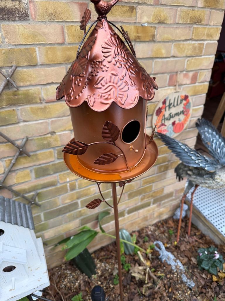 Garden stuff week old 20 each 