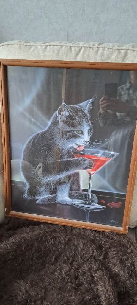 Black cat licking red wine 