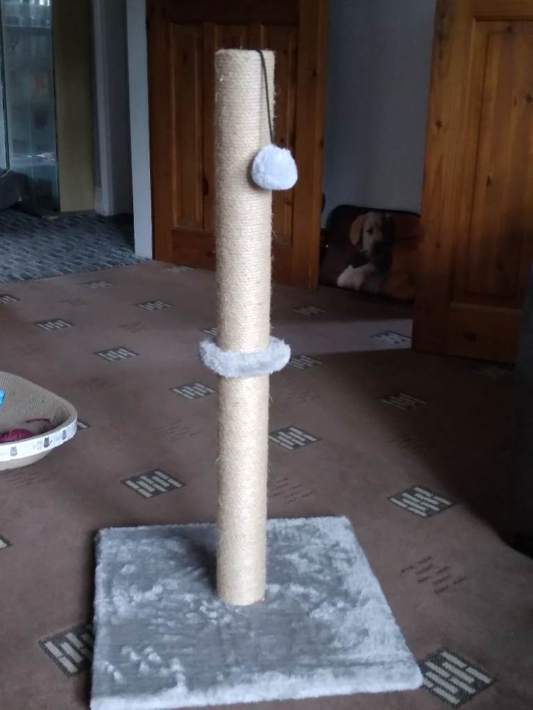 Cat scratcher