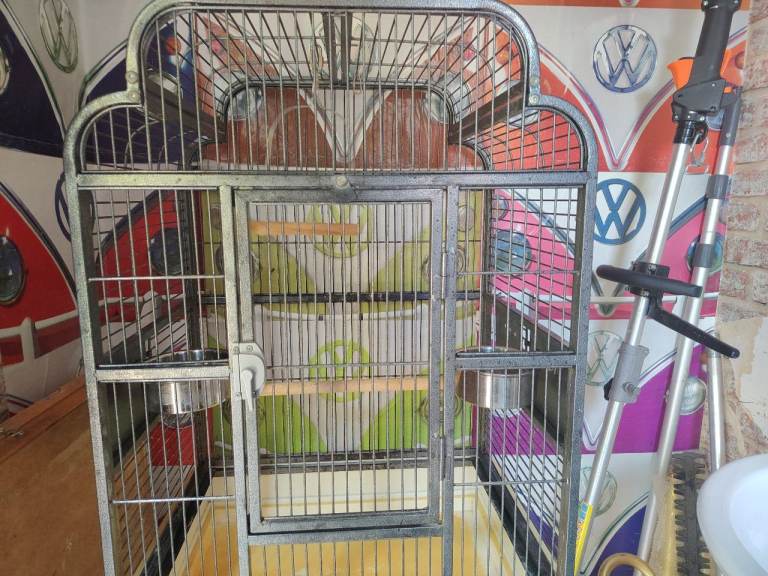 Bird cage 