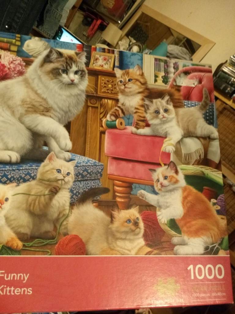Funny kittens 1000 piece Jigsaw puzzle