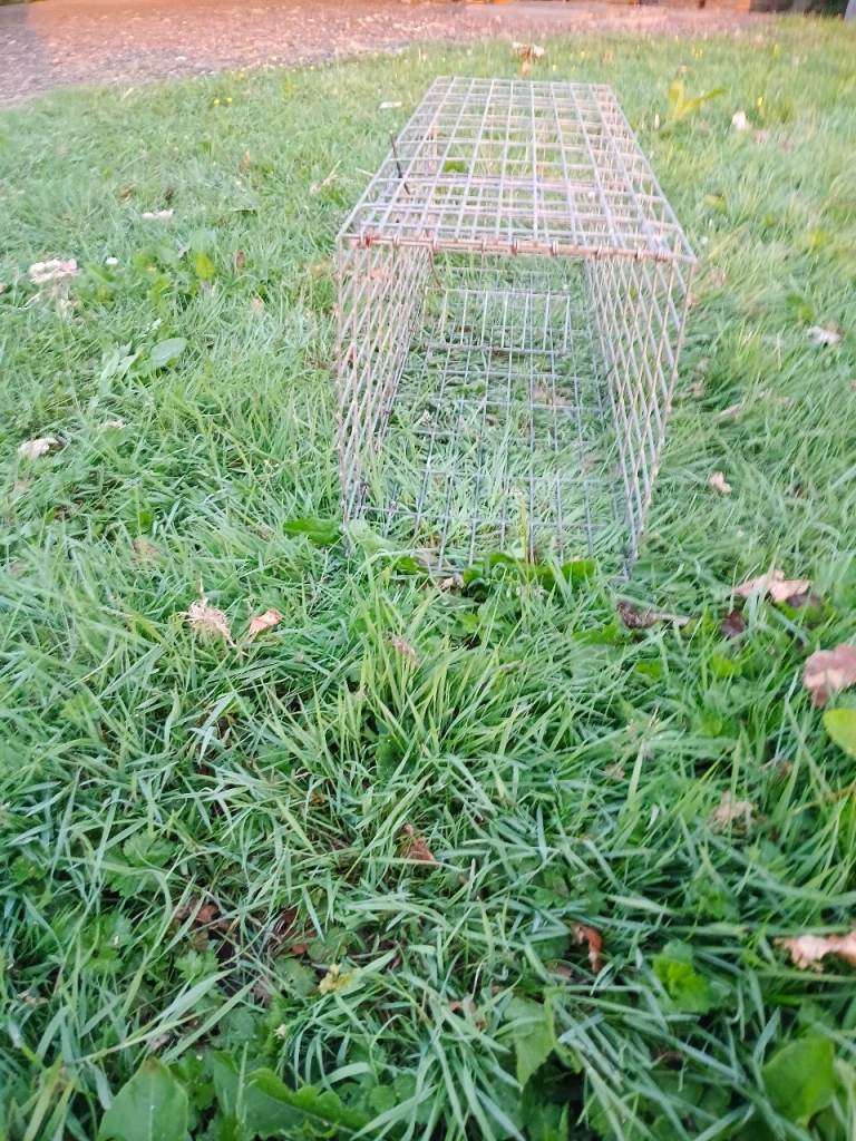 Trap Heavy Duty Metal Humane Live cage RABBIT / SQUIRREL LARGE SIZE