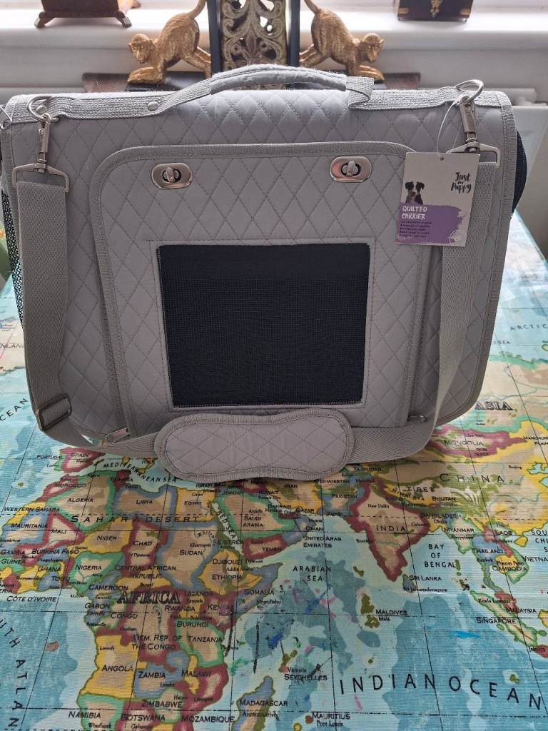 Dog carrier 