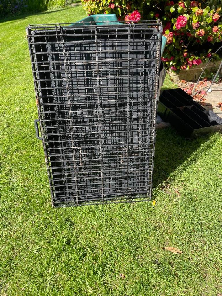 dog cage