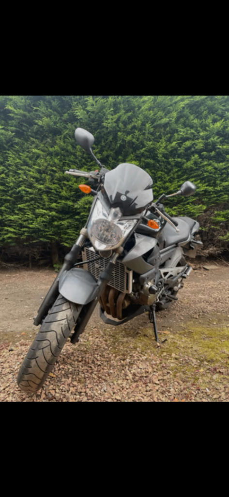 Yamaha, XJ6 ABS, 2010, 599 (cc)
