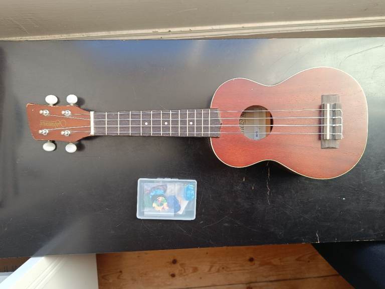 Ukulele and Picks