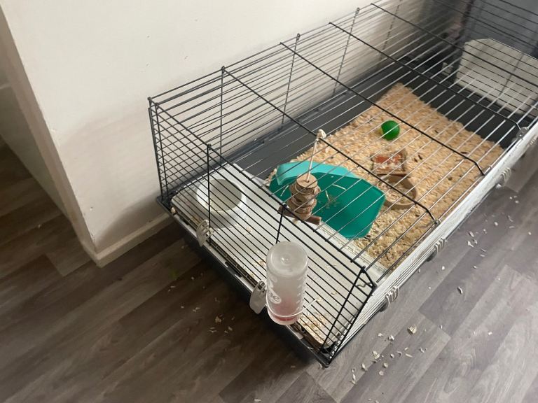 Large cage for small animals and lots of accessories.  