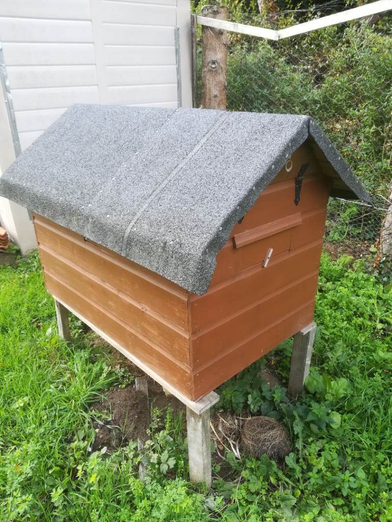 Small chicken house 