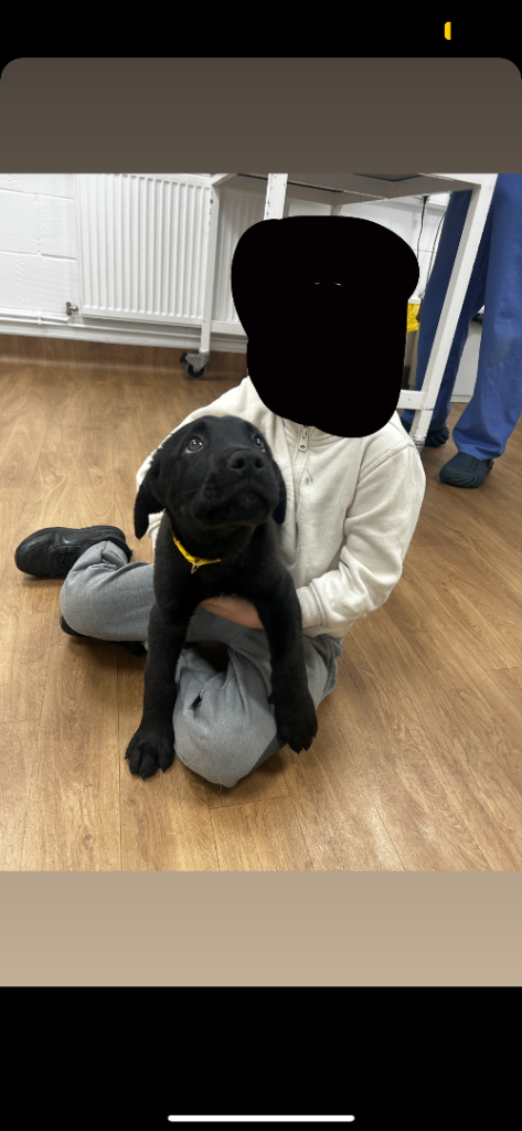 3 healthy pups