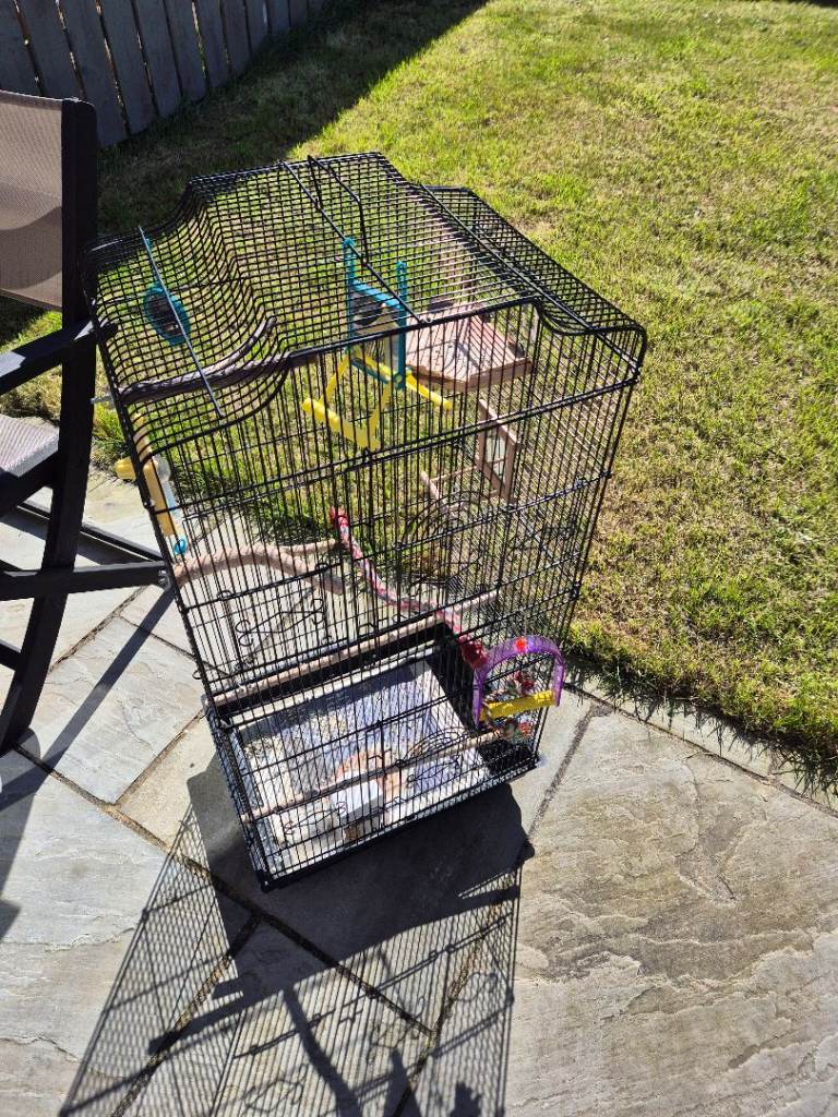 Bird cage