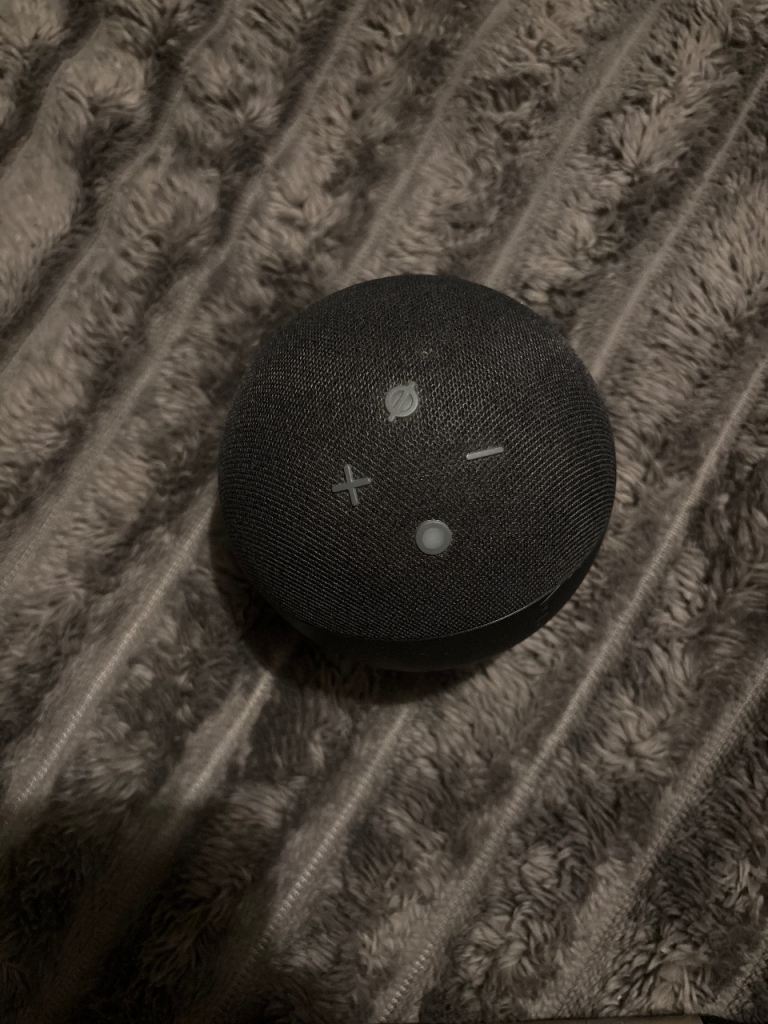 Amazon Echo Dot
