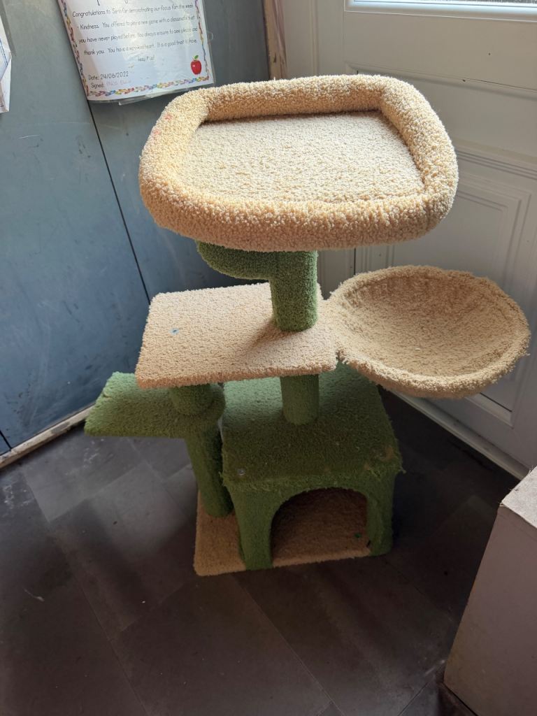 Cat tree 