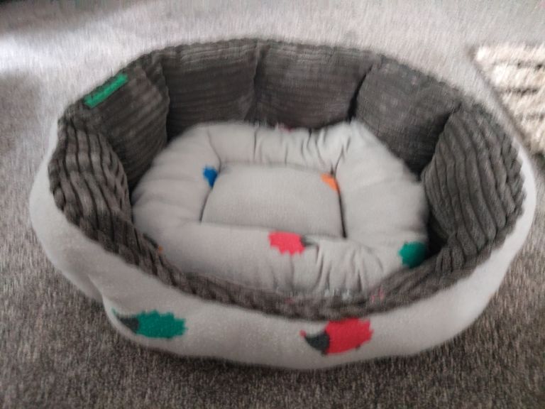 Puppy/ small dog basket. 