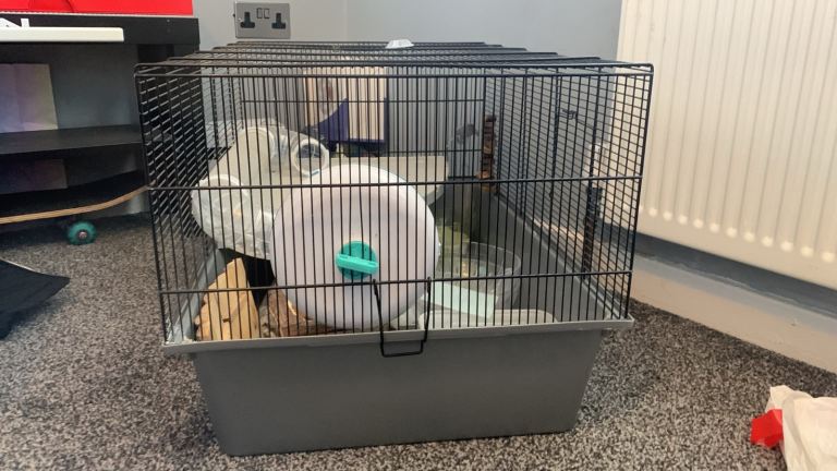 Hamster cage, large
