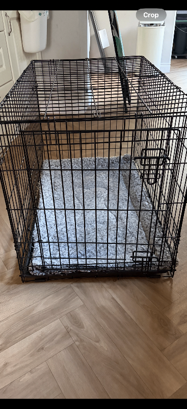 Medium dog crate 