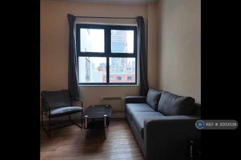 2 bedroom flat in Derwent Foundry, Birmingham, B3 (2 bed) (#3003539)
