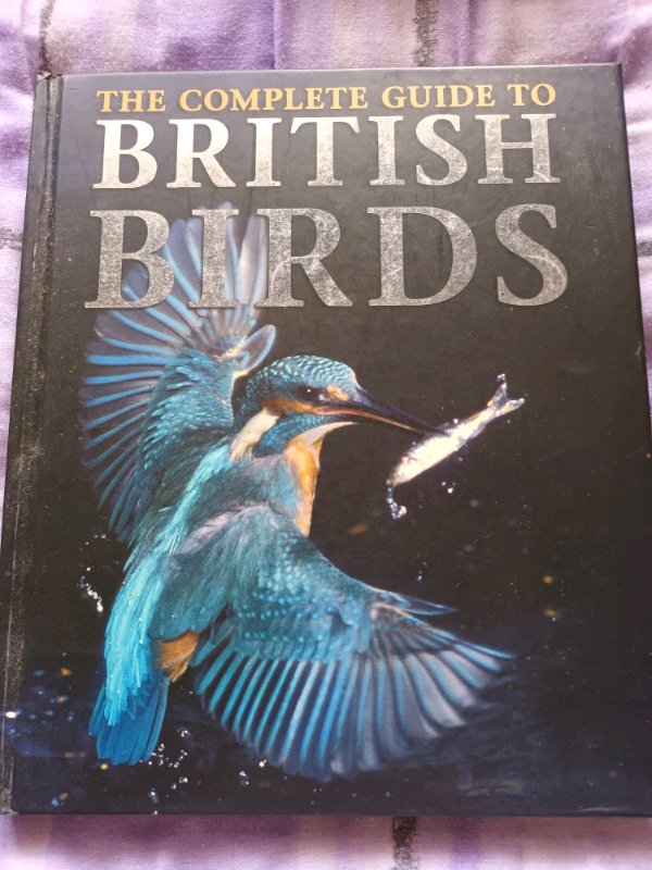 British birds 