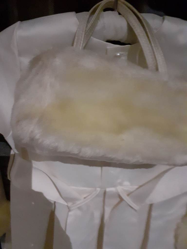 Ivory bridesmaids dress