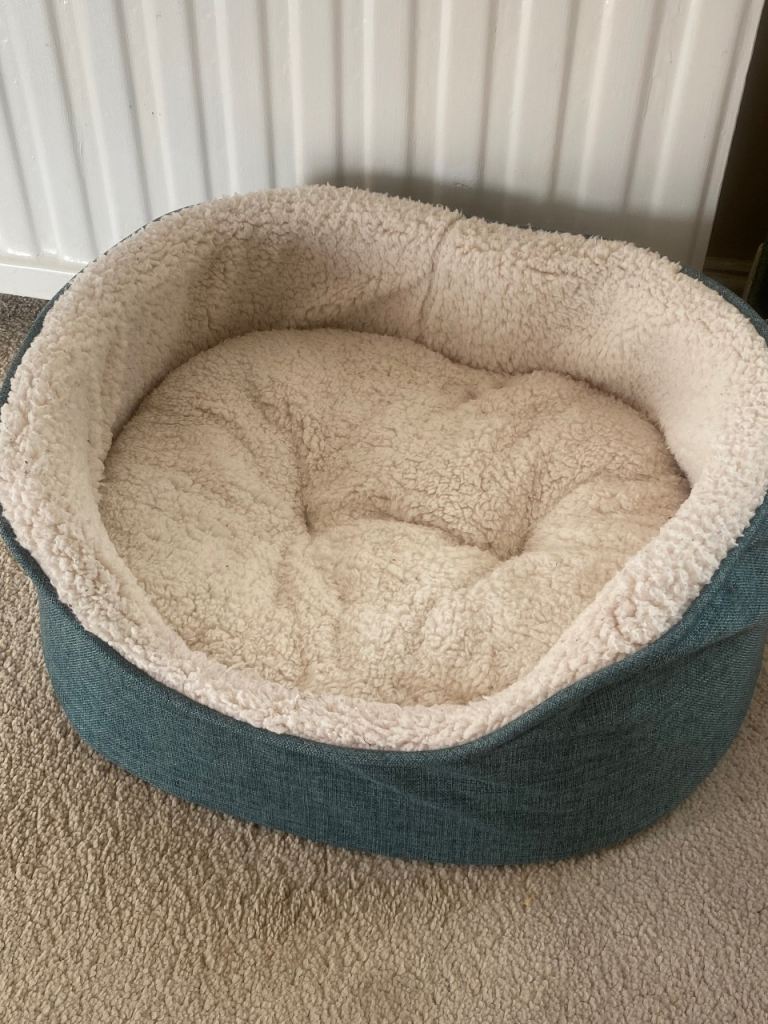 Dog bed 